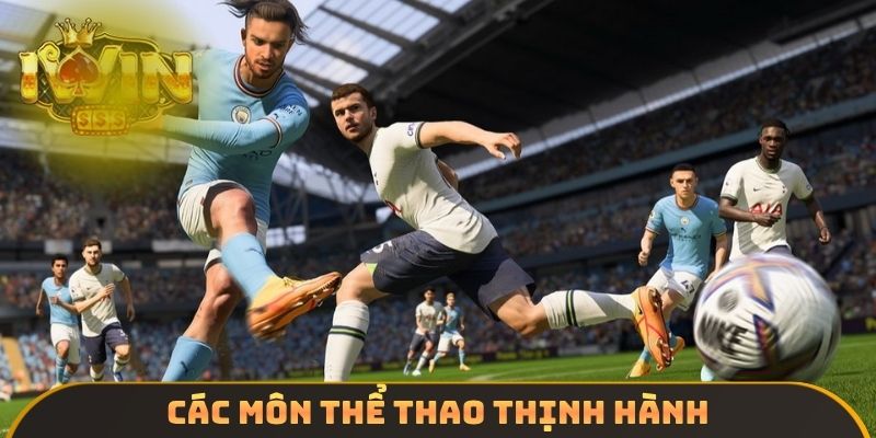 Các môn thể thao thịnh hành